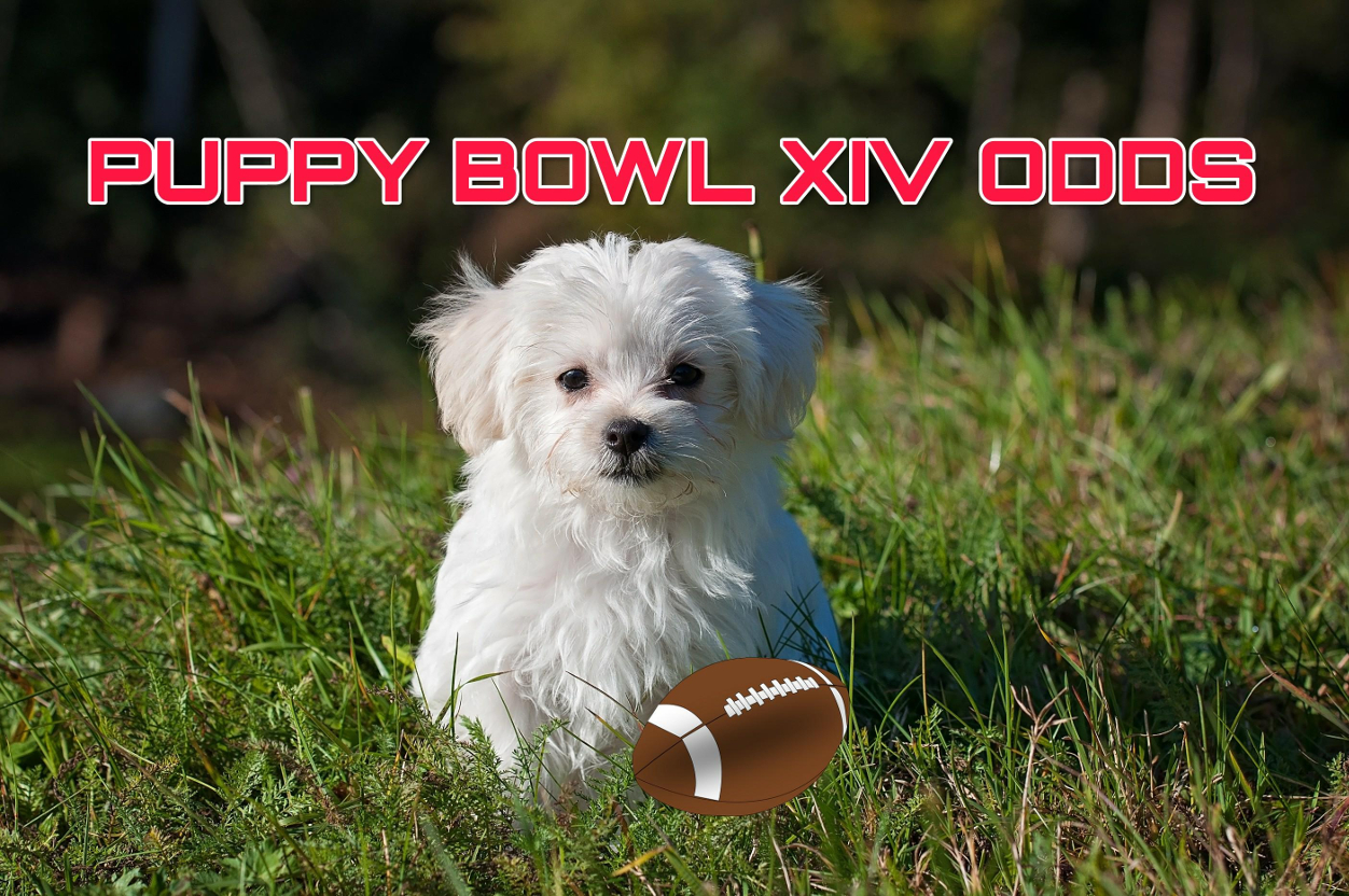 Puppy Bowl